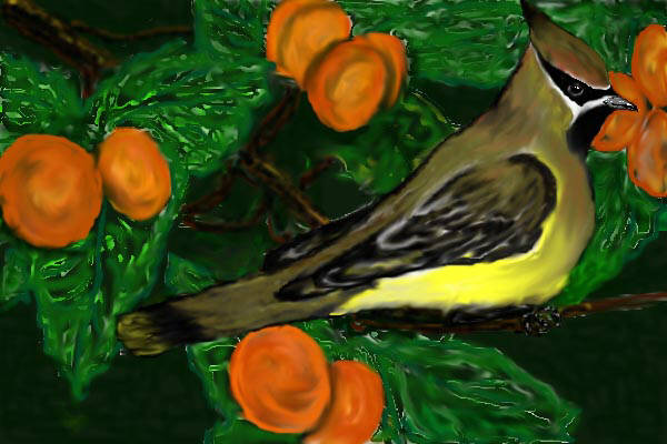 Waxwing: computer painting