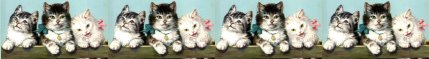 Line up of Kitties divider